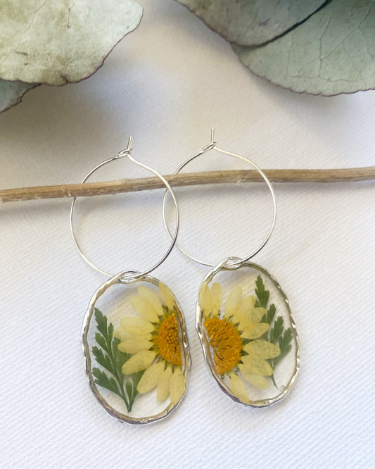 Pressed Yellow Daisy and Fern Earrings