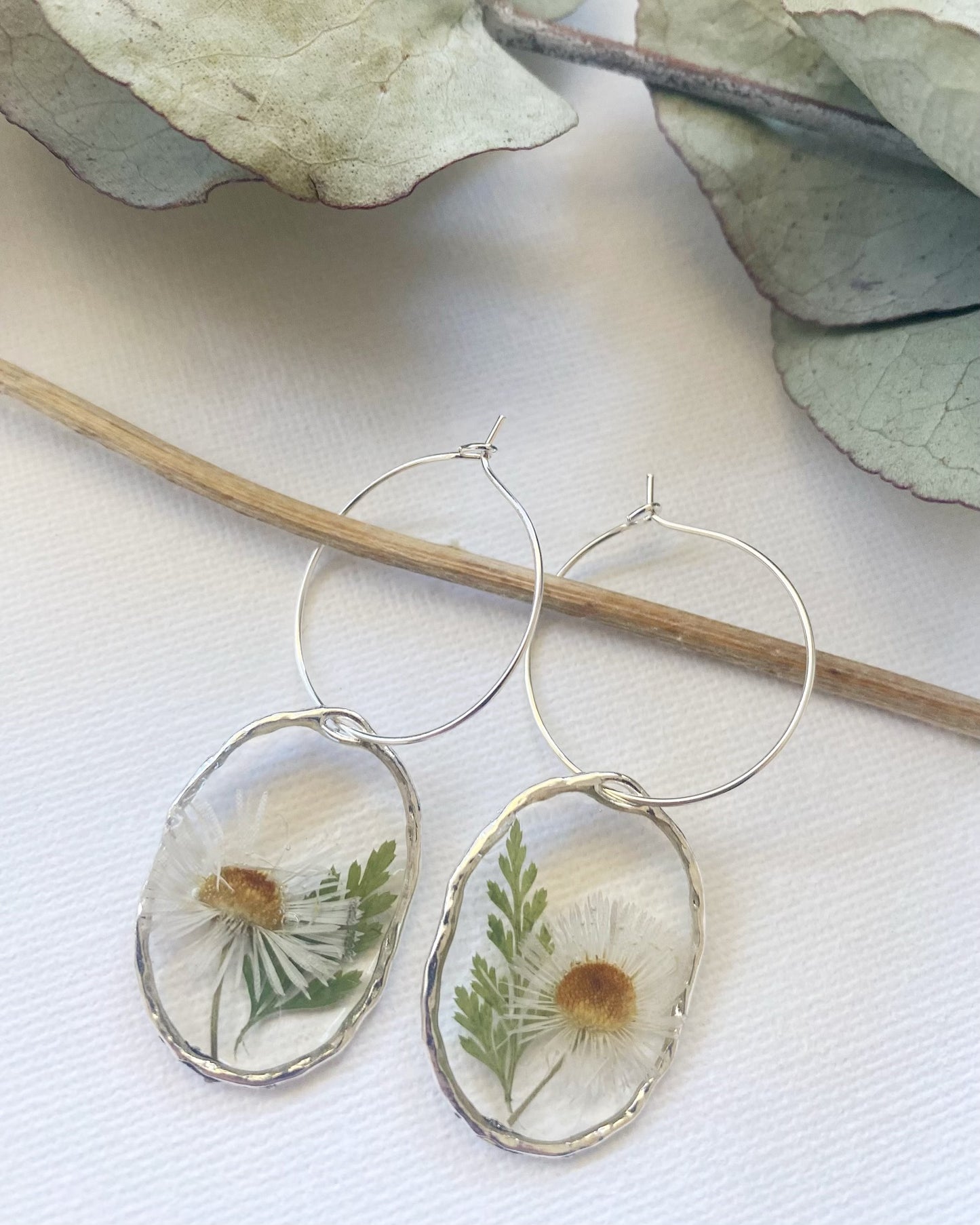 Pressed White Daisy and Fern Earrings