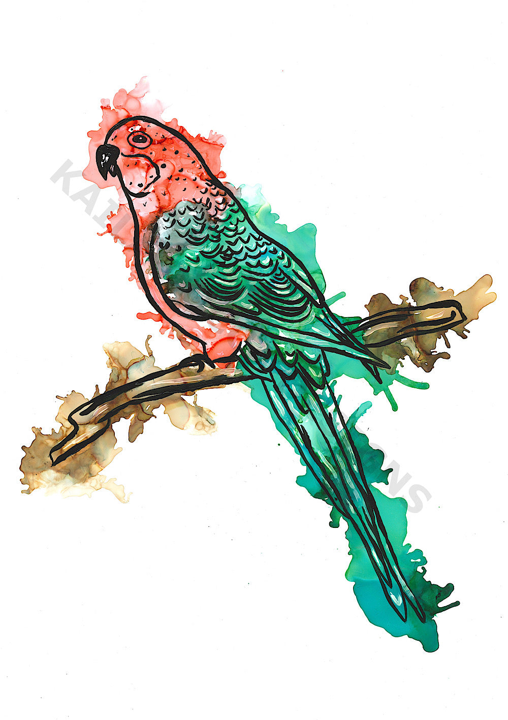 King Parrot Print