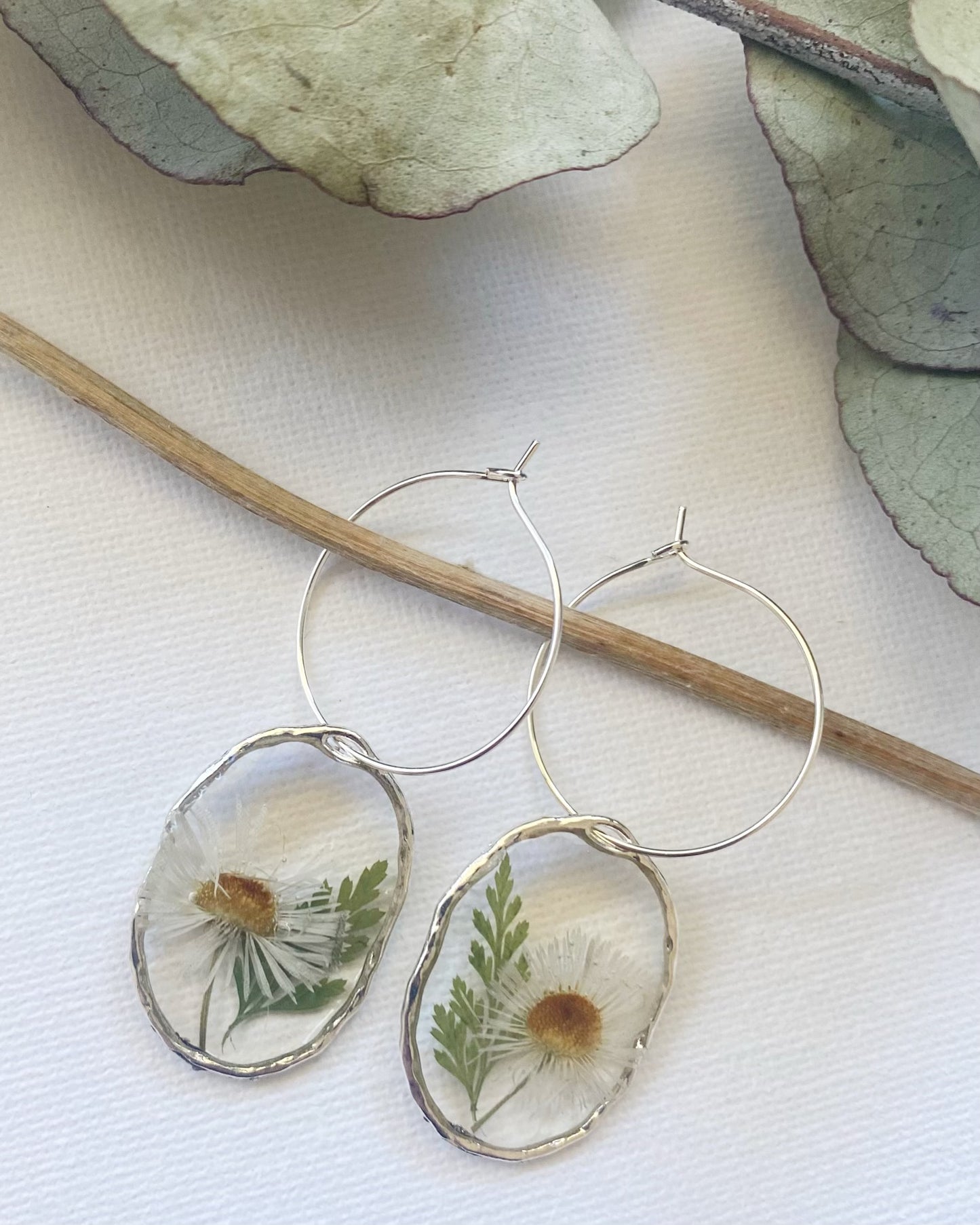 Pressed White Daisy and Fern Earrings