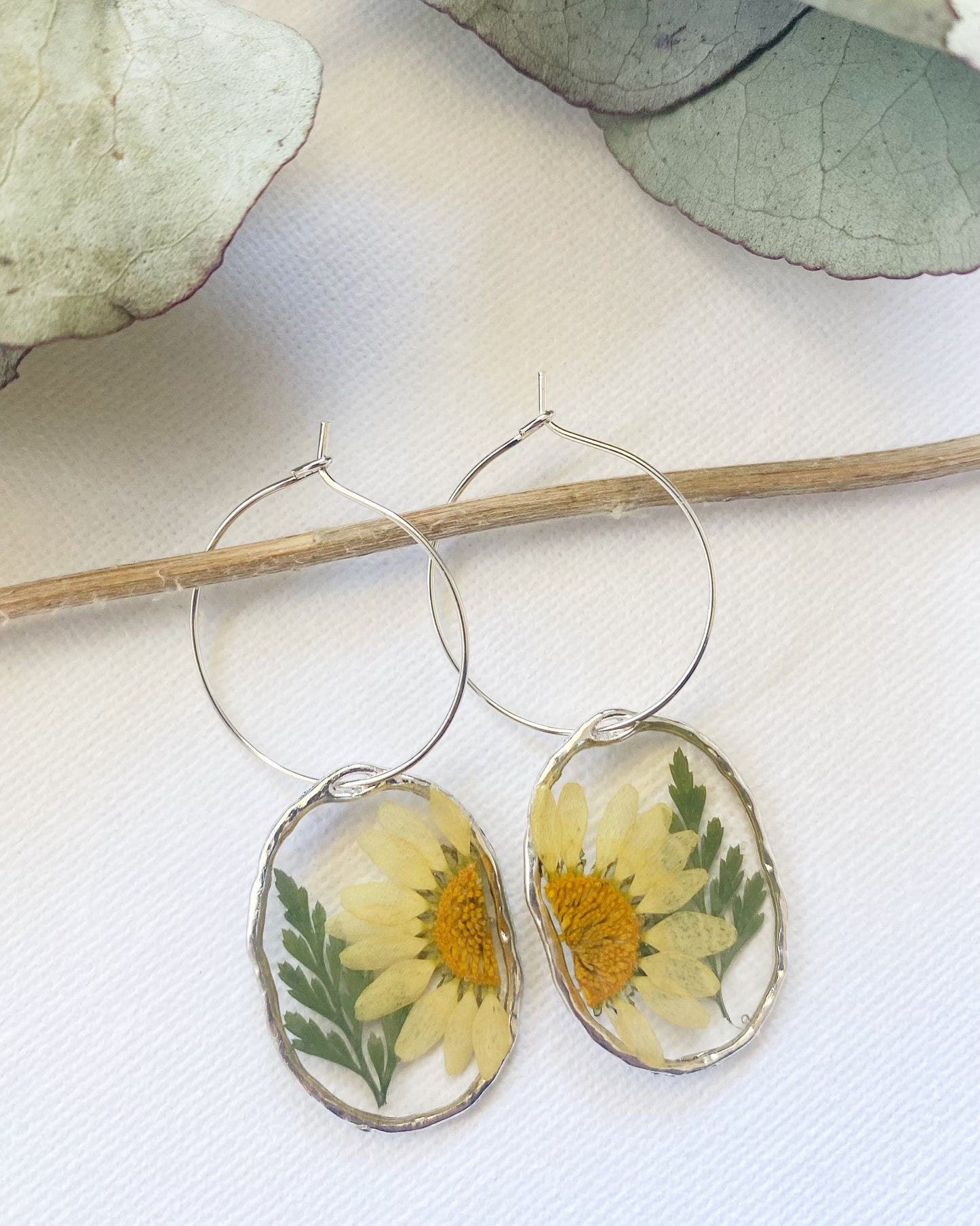 Pressed Yellow Daisy and Fern Earrings